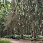 Maison Au Bord Du Bois Toute Equipee Avec Jaccuzzi 度假居 *