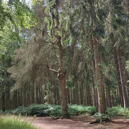 Maison Au Bord Du Bois Toute Equipee Avec Jaccuzzi Prázdninový dům *